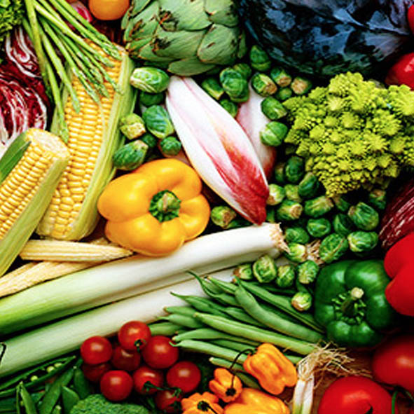 Aquaponics & Hydroponics Spring Farm