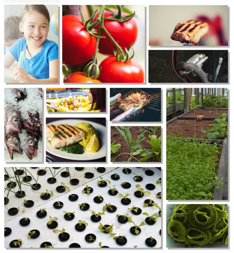 Office space crewe and cheshire Spring Farm Business Centre